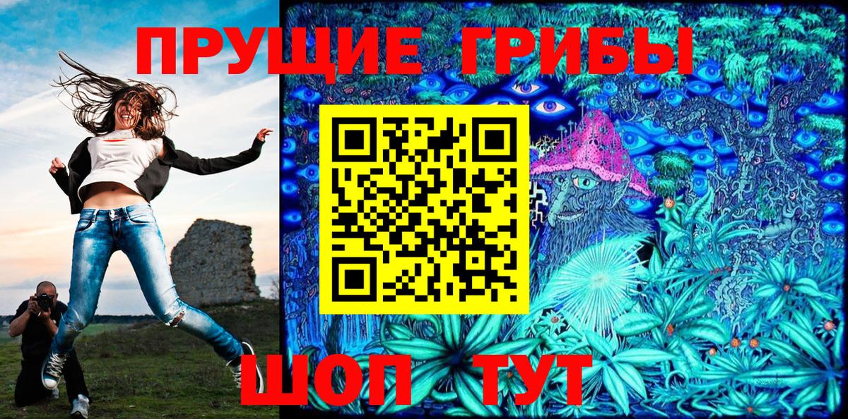 Качканар  Псилоцибиновые грибы прущие грибы  Вход с VPN 
