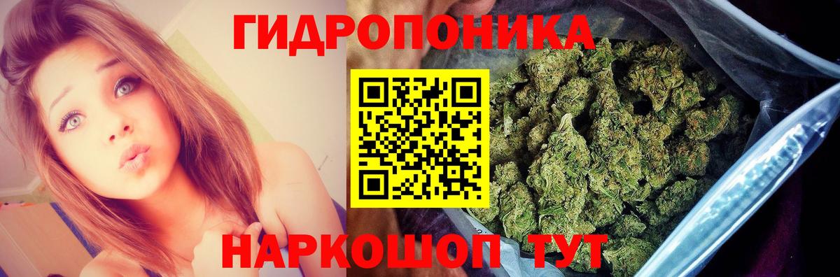 Качканар  Конопля план  Каннабис тримм  МАРИХУАНА Amnesia  Вход с VPN  МАРИХУАНА индика 